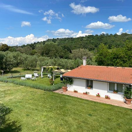 Tenuta Le Mandorlaie, Agriturismo In 스칸사노 외부 사진