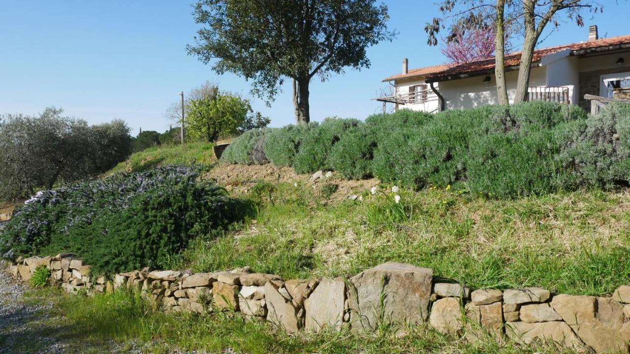 Tenuta Le Mandorlaie, Agriturismo In 스칸사노 외부 사진