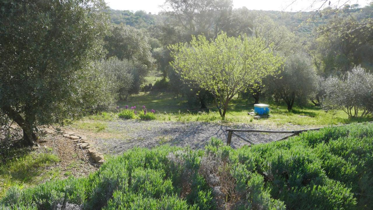 Tenuta Le Mandorlaie, Agriturismo In 스칸사노 외부 사진