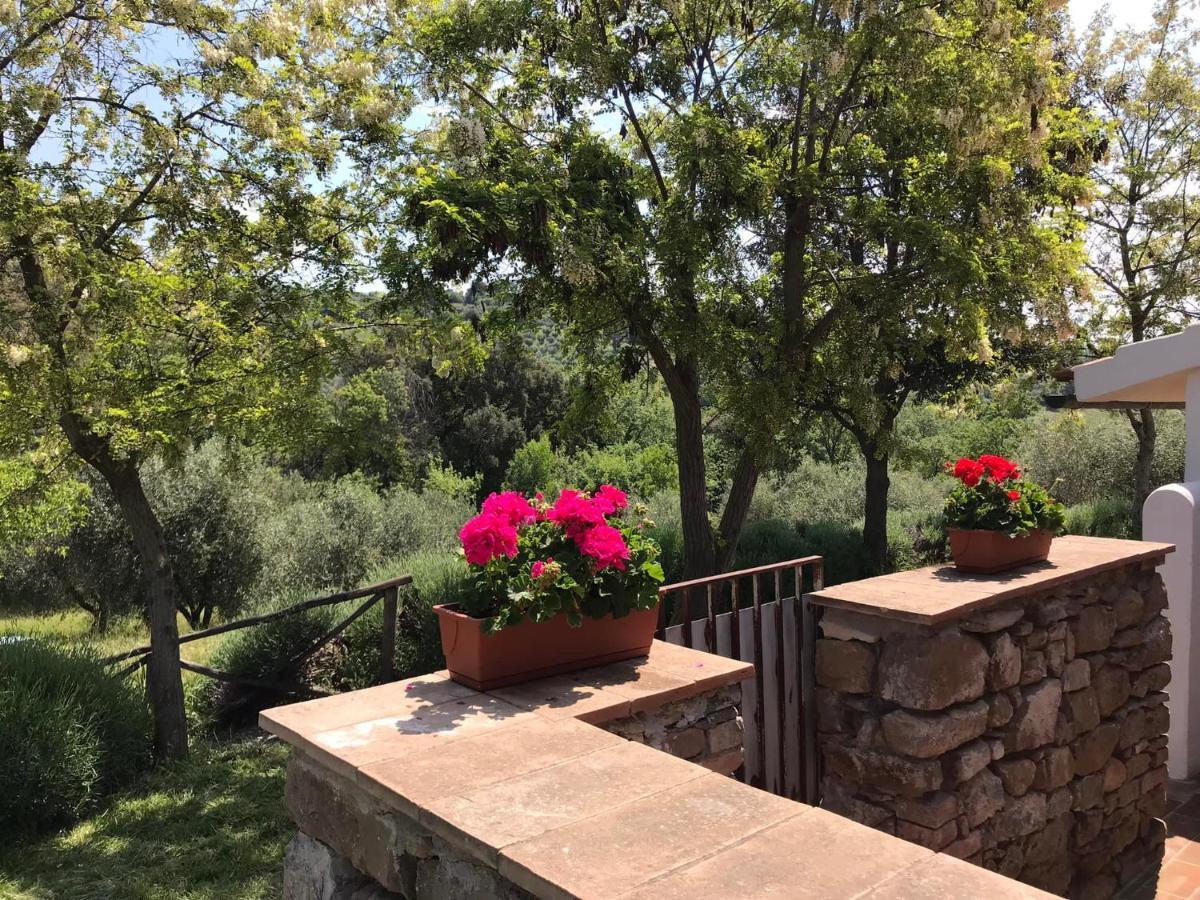 Tenuta Le Mandorlaie, Agriturismo In 스칸사노 외부 사진