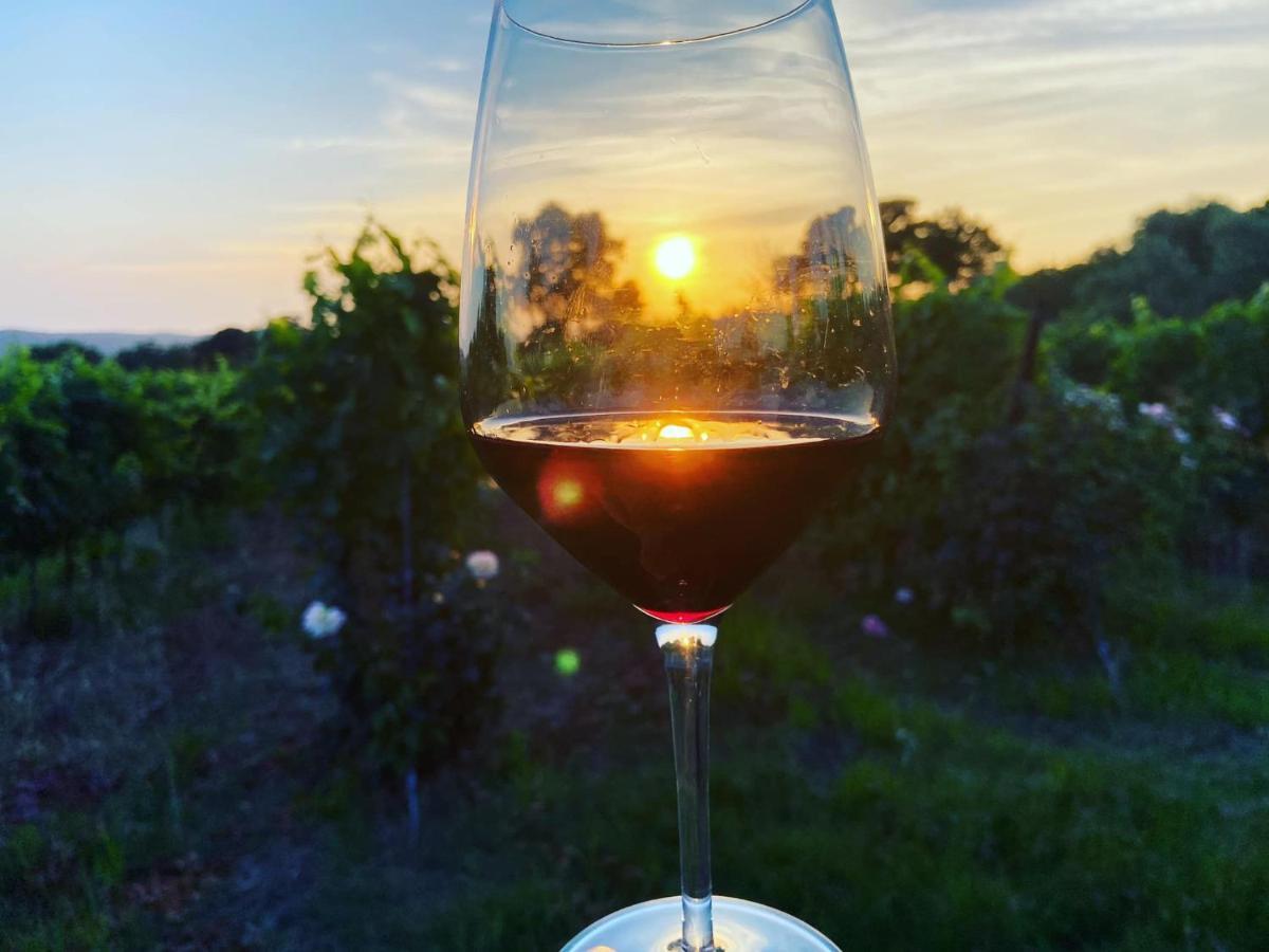 Tenuta Le Mandorlaie, Agriturismo In 스칸사노 외부 사진