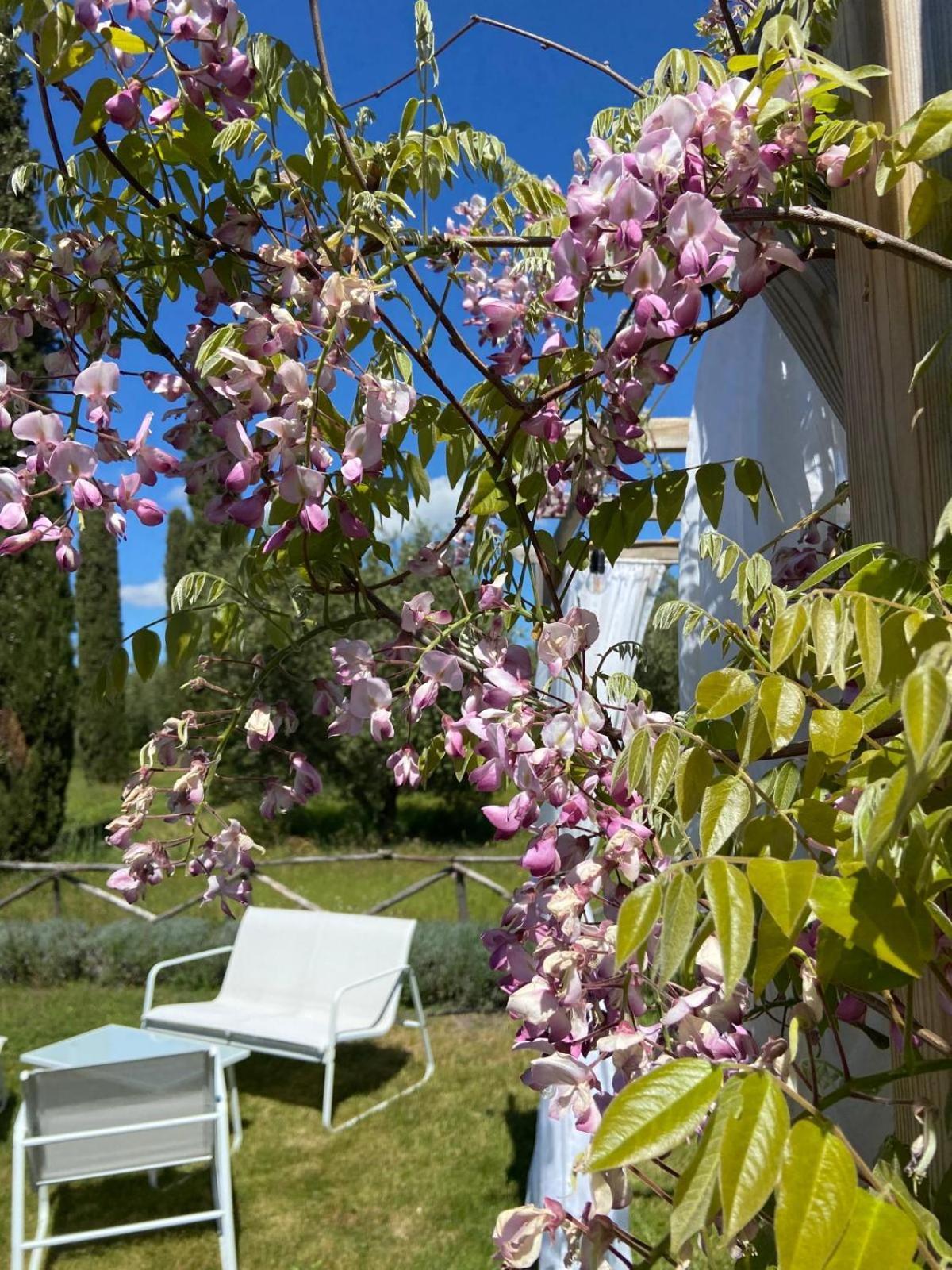 Tenuta Le Mandorlaie, Agriturismo In 스칸사노 외부 사진