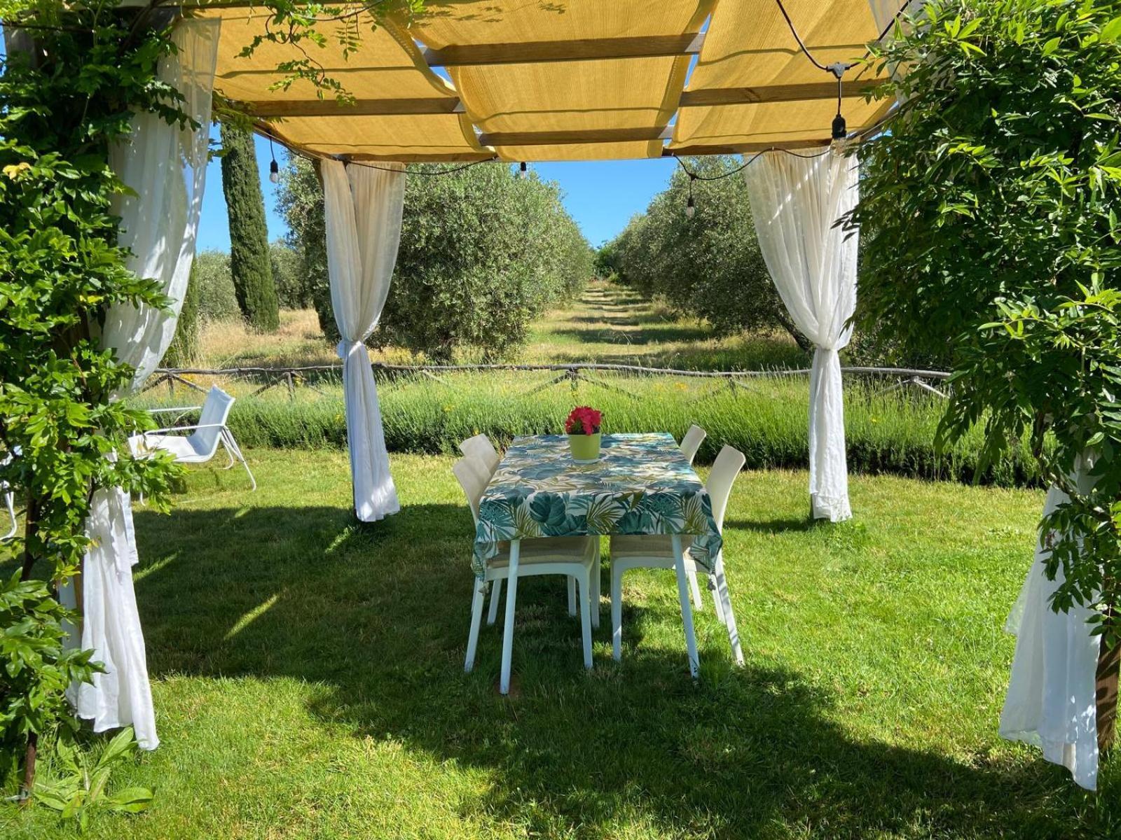 Tenuta Le Mandorlaie, Agriturismo In 스칸사노 외부 사진