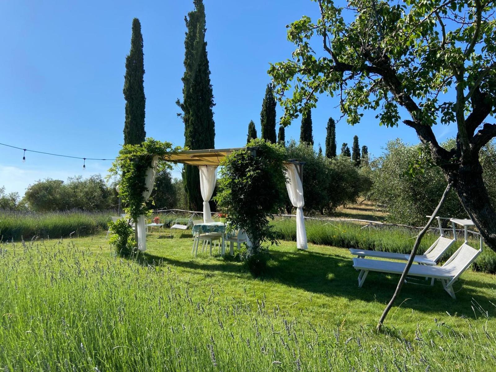 Tenuta Le Mandorlaie, Agriturismo In 스칸사노 외부 사진