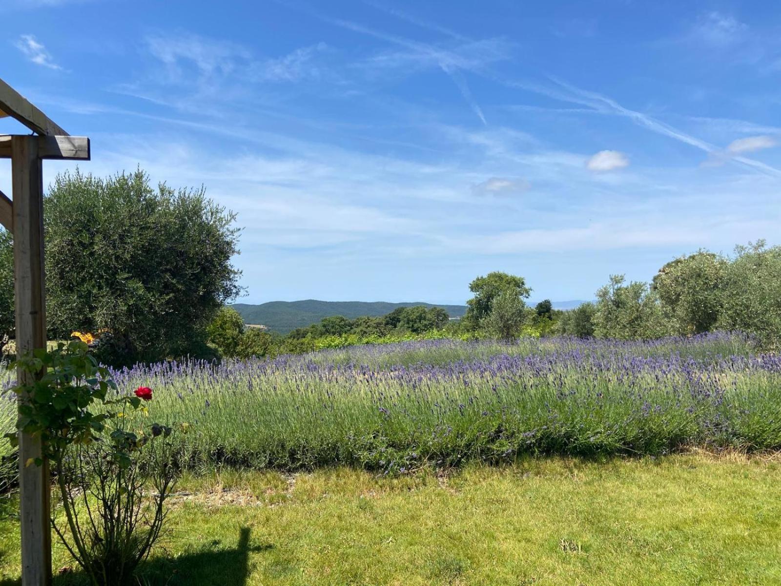 Tenuta Le Mandorlaie, Agriturismo In 스칸사노 외부 사진