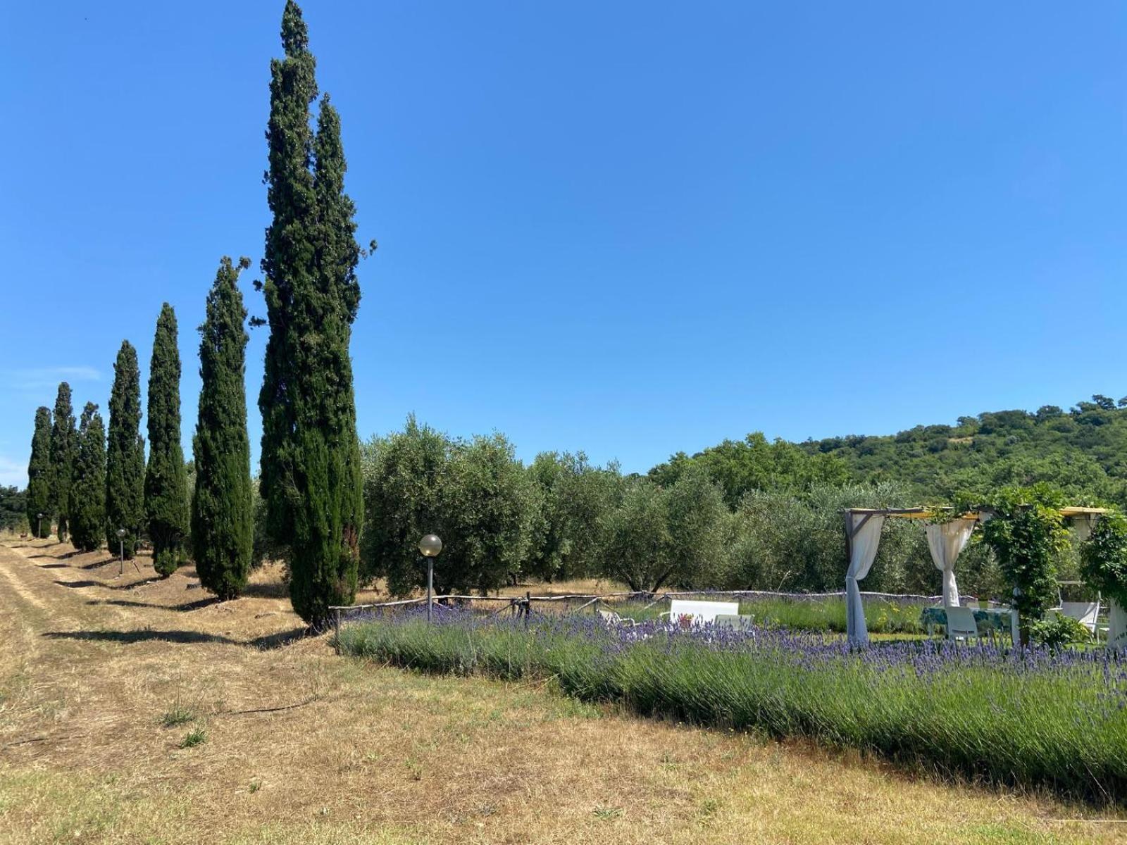 Tenuta Le Mandorlaie, Agriturismo In 스칸사노 외부 사진