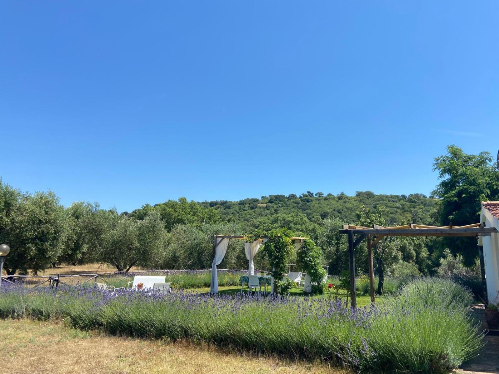 Tenuta Le Mandorlaie, Agriturismo In 스칸사노 외부 사진