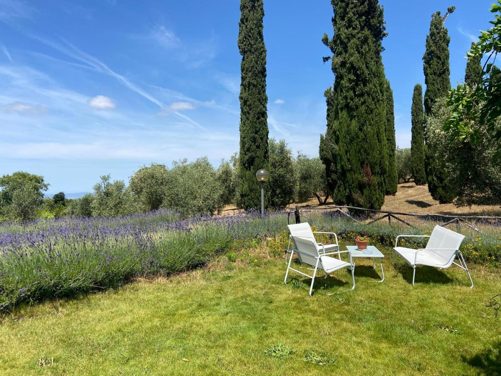 Tenuta Le Mandorlaie, Agriturismo In 스칸사노 외부 사진