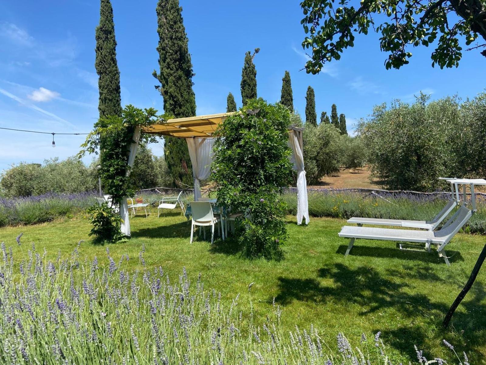 Tenuta Le Mandorlaie, Agriturismo In 스칸사노 외부 사진