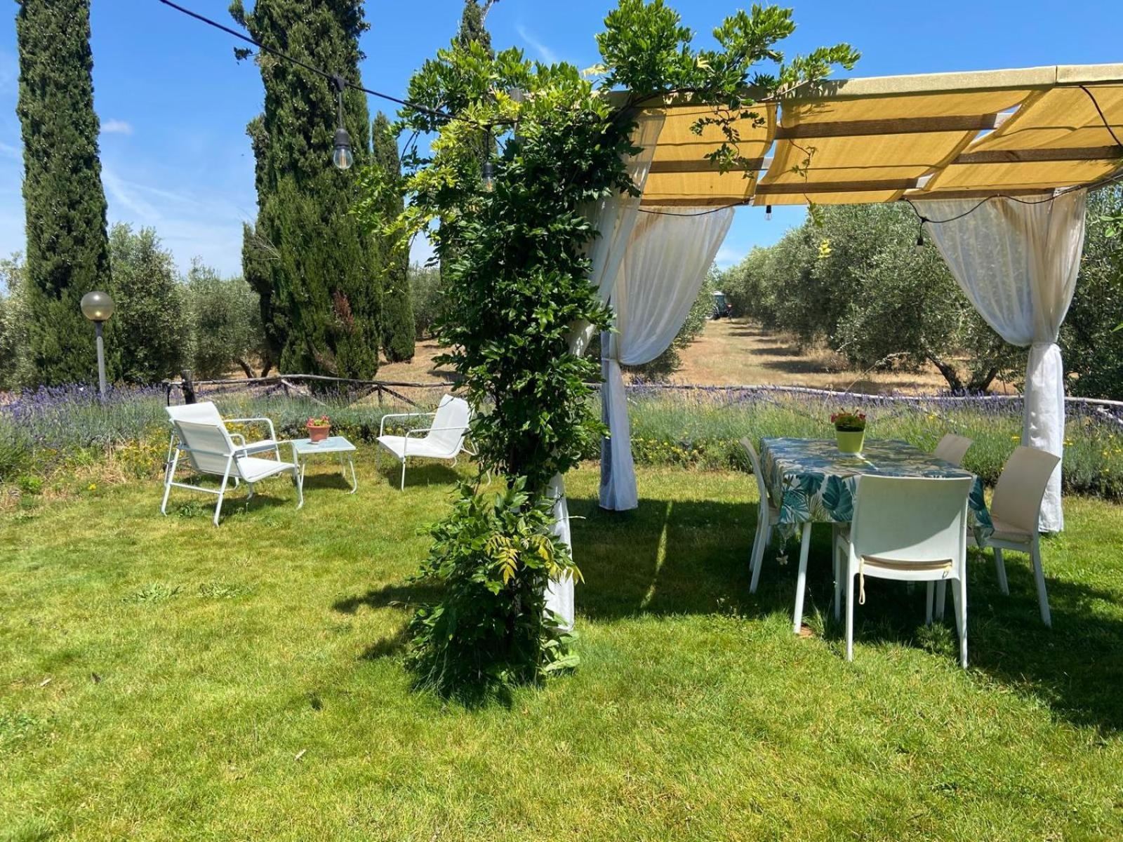Tenuta Le Mandorlaie, Agriturismo In 스칸사노 외부 사진