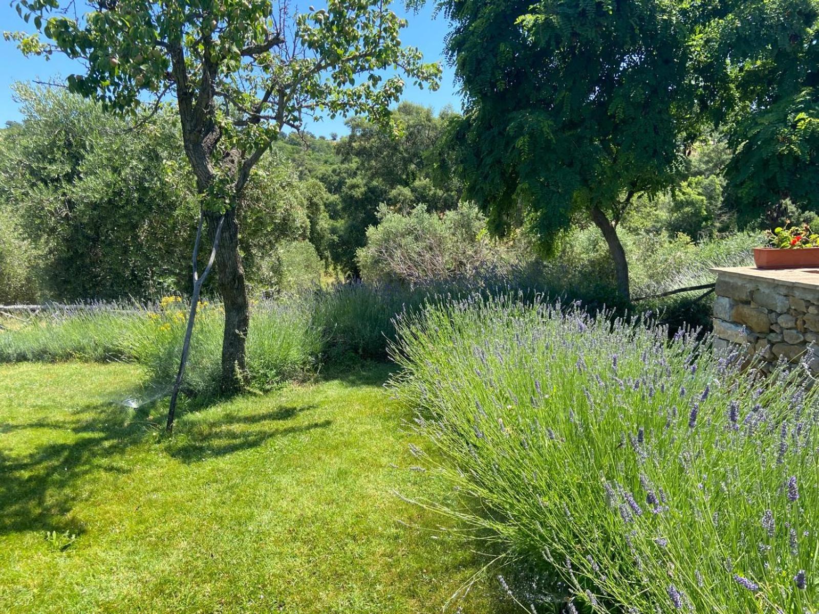 Tenuta Le Mandorlaie, Agriturismo In 스칸사노 외부 사진